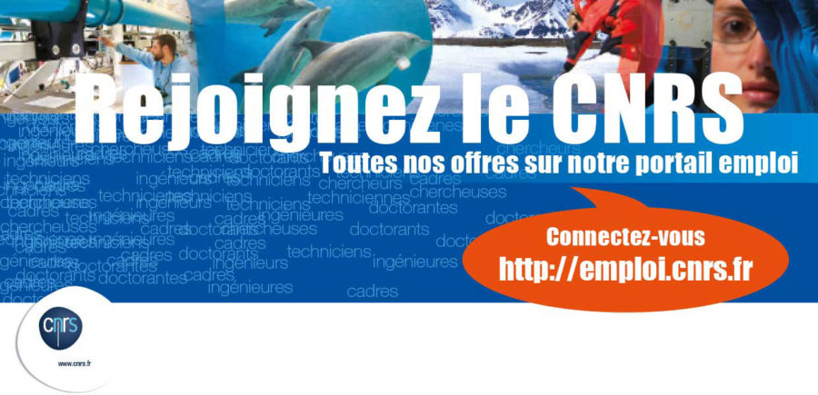 Portail Emploi_Offres de contrats