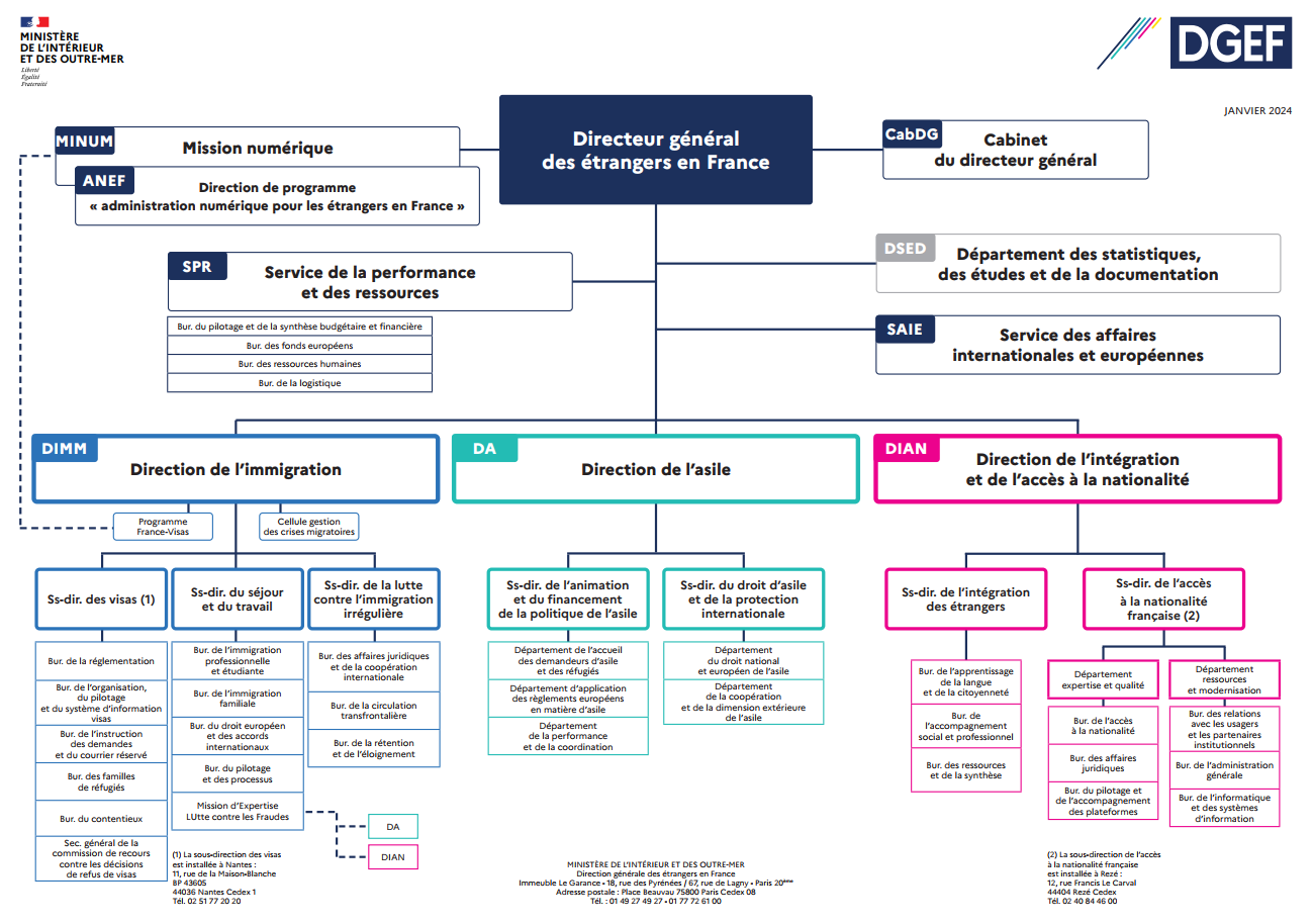 Organigramme DGEF