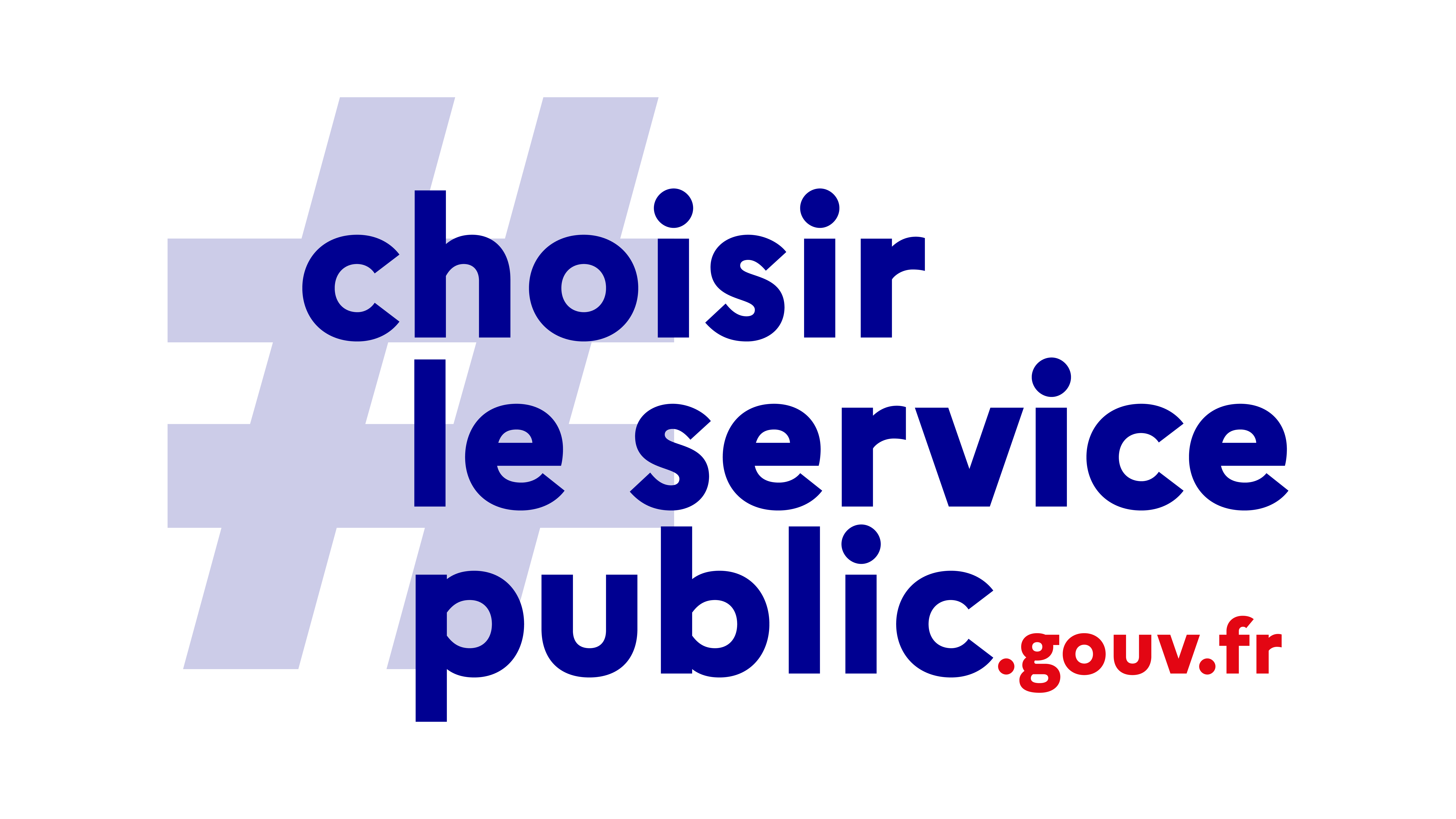 Logo de « Choisir le Service Public » | DGAFP Direction générale pour l'administration de la fonction publique